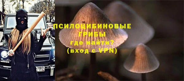 амф Балахна