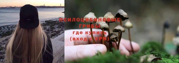 а пвп мука Балабаново